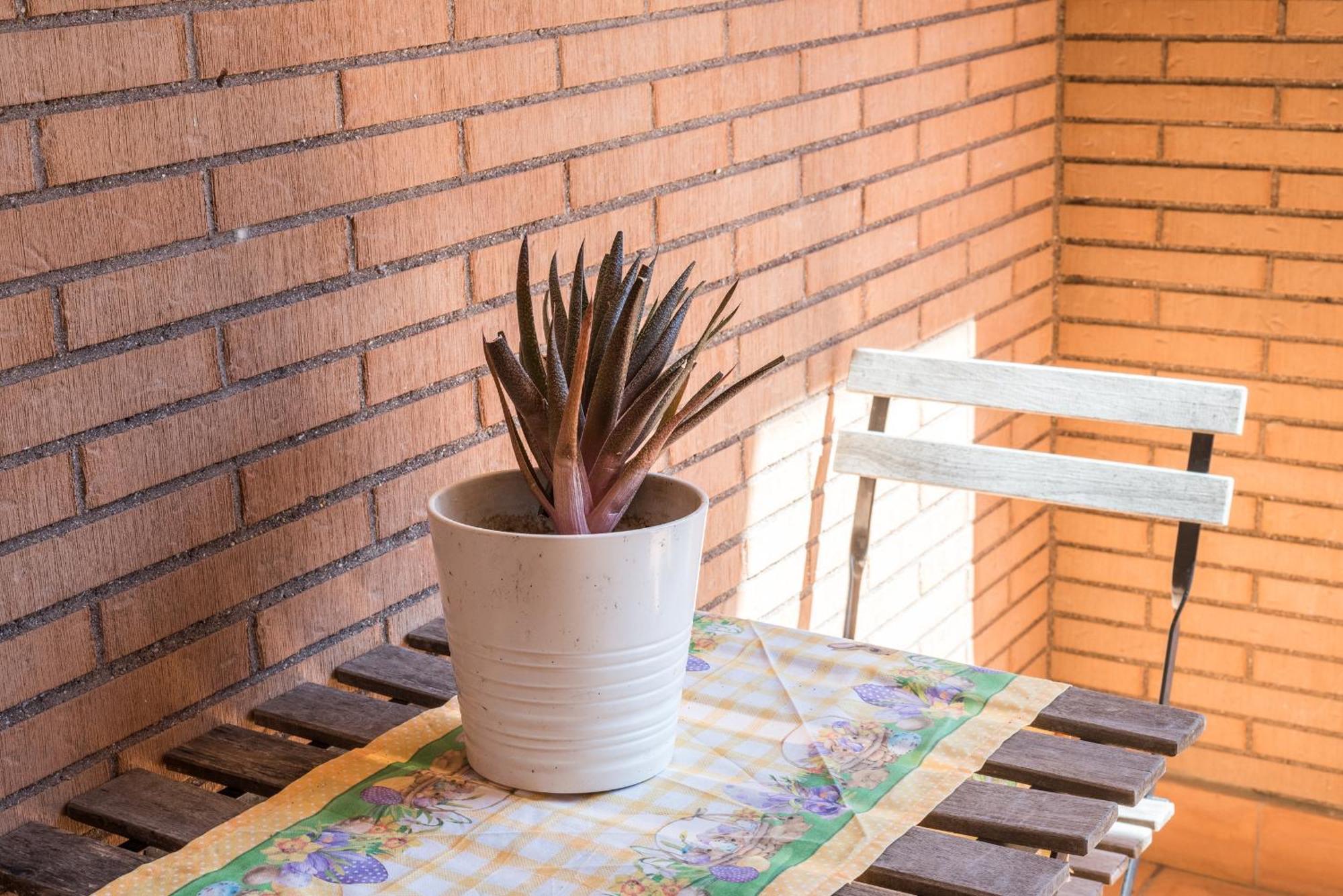 Travelershome Ciampino Suite Exterior foto
